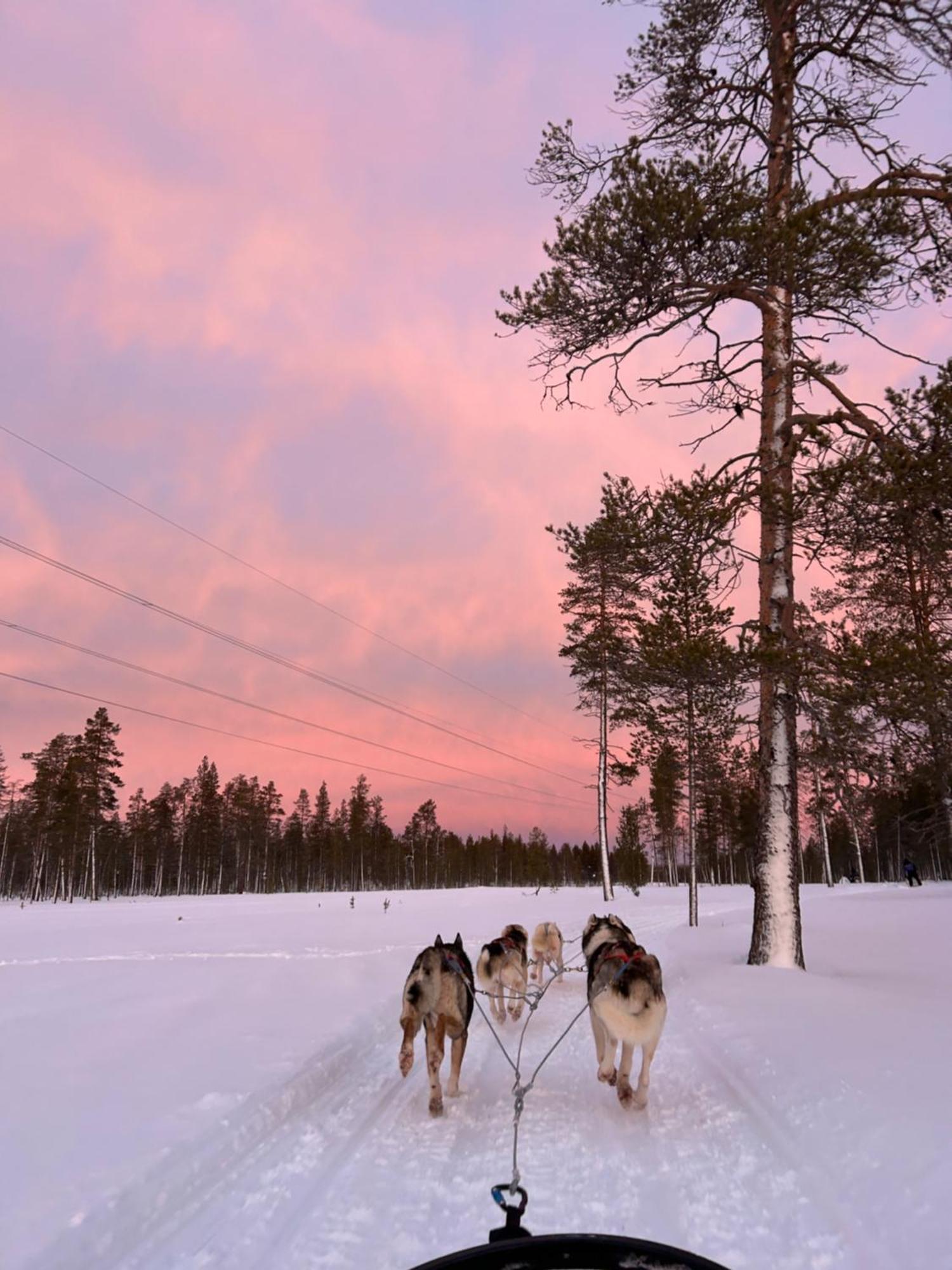 Aurora Queen Resort Igloos Саариселькя Экстерьер фото
